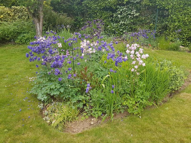 Maison - 190 m² - 7 pièces