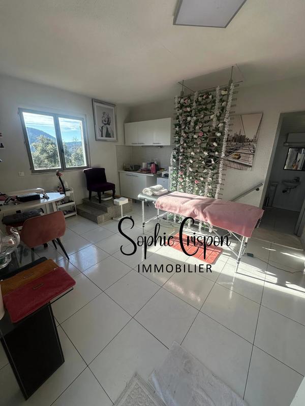 Immeuble mixte - 300 m² - 7 pièces