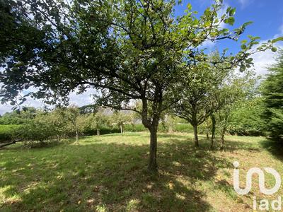 Maison - 114 m² - 6 pièces