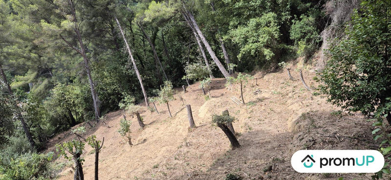 Terrain de loisirs - 2 048 m²