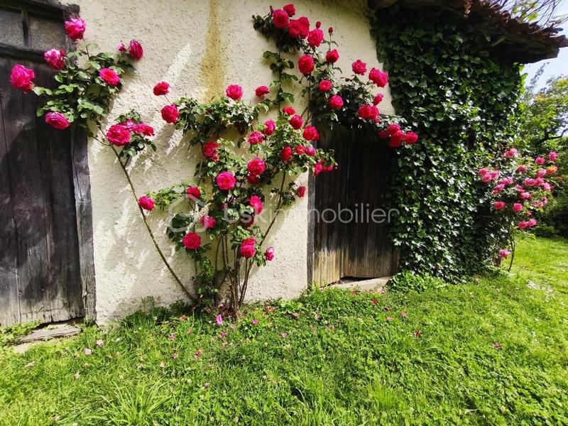 Maison ancienne - 225 m² - 9 pièces