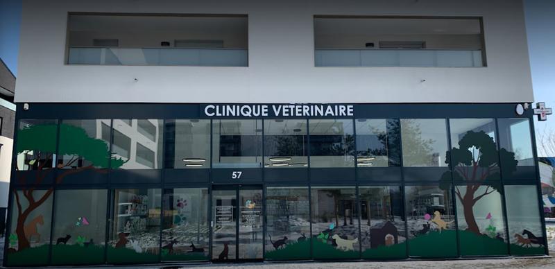 Clinique Vétérinaire PetVetClinic Lieusaint