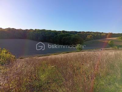 Terrain agricole - 10 469 m²