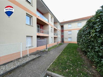 Appartement - 60 m² - 1 pièce