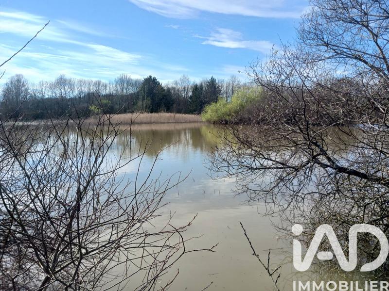 Terrain - 32 204 m²