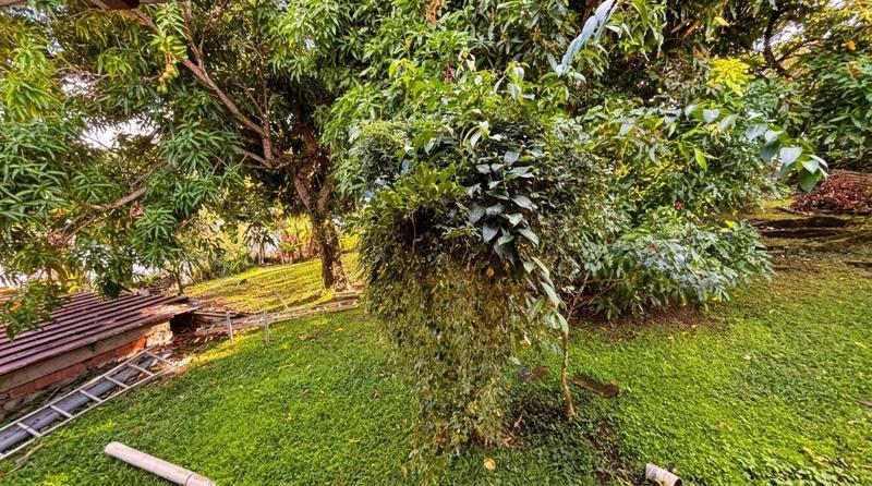 Maison - 195 m² - 9 pièces