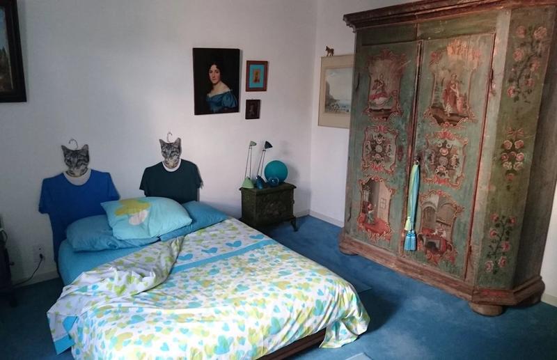 Propriété - 238 m² - 7 pièces