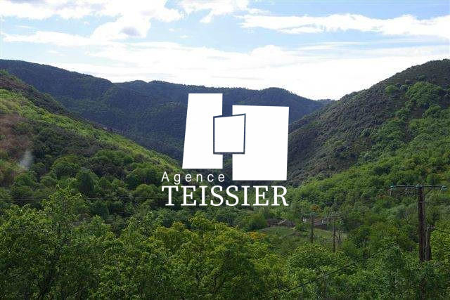 Château - 400 m² - 12 pièces