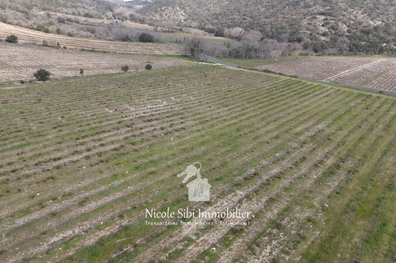 Terrain agricole - 17 985 m²