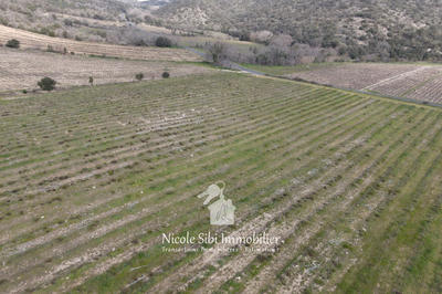 Terrain agricole - 17 985 m²