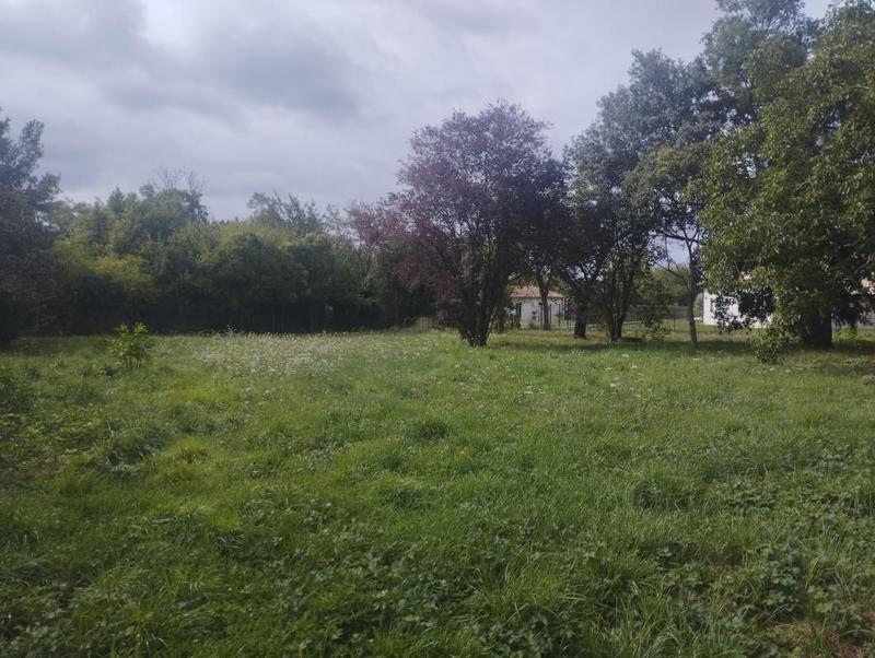 Terrain constructible - 1 732 m²