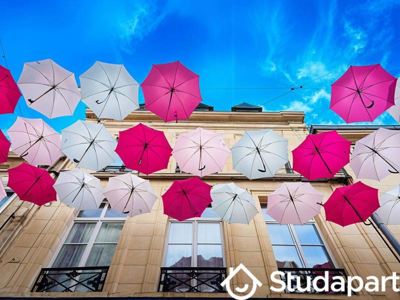 Appartement - 25 m² - 1 pièce