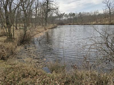Gîte chalet avec étang location