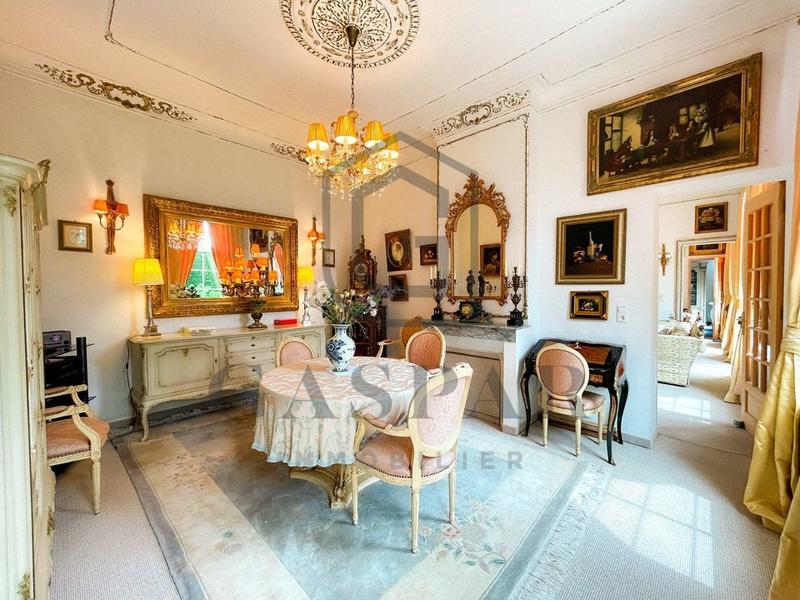 Château - 477 m² - 13 pièces