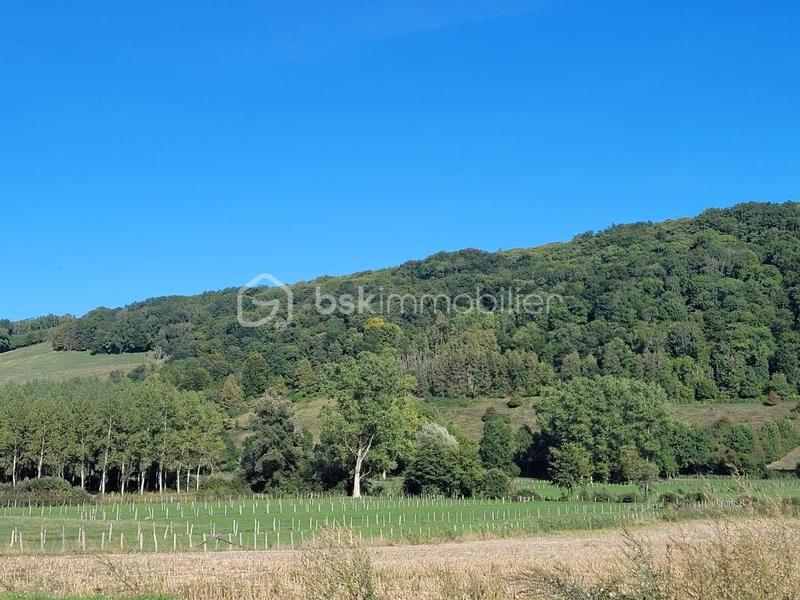 Propriété - 141 m² - 5 pièces