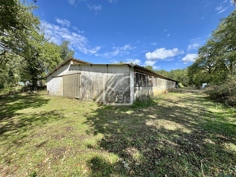 Maison - 230 m² - 12 pièces