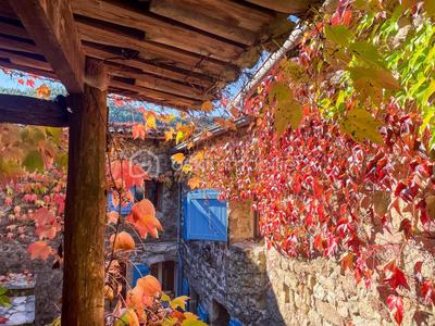 Maison en pierre - 109 m² - 6 pièces