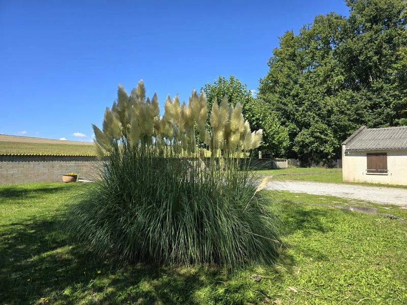 Maison - 315 m² - 10 pièces