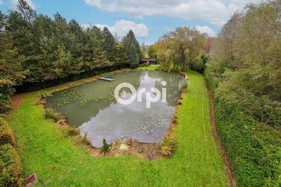 Terrain de loisirs - 7 636 m²