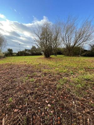 Terrain constructible - 1 421 m²