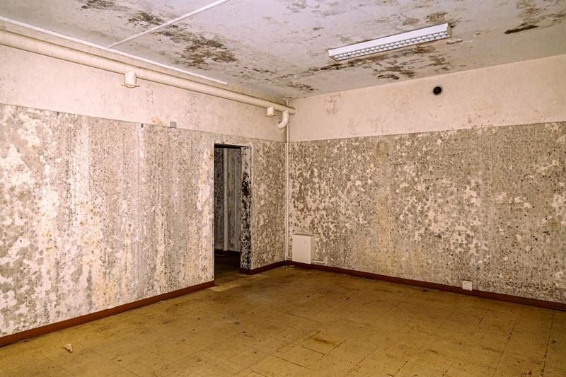 Immeuble - 3 900 m²