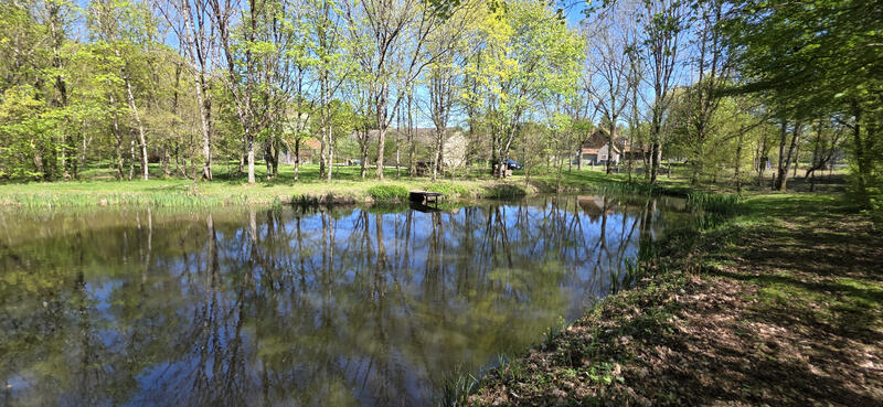 Propriété - 205 m² - 5 pièces