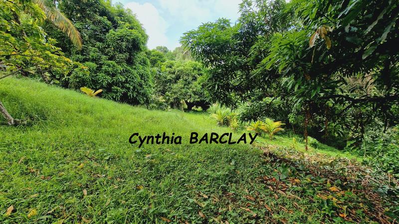 Maison - 300 m² - 8 pièces