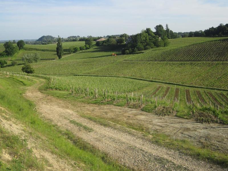 La Ronde des Vignobles en Fronsadais