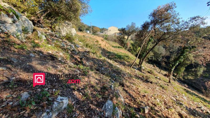 Terrain constructible - 3 000 m²
