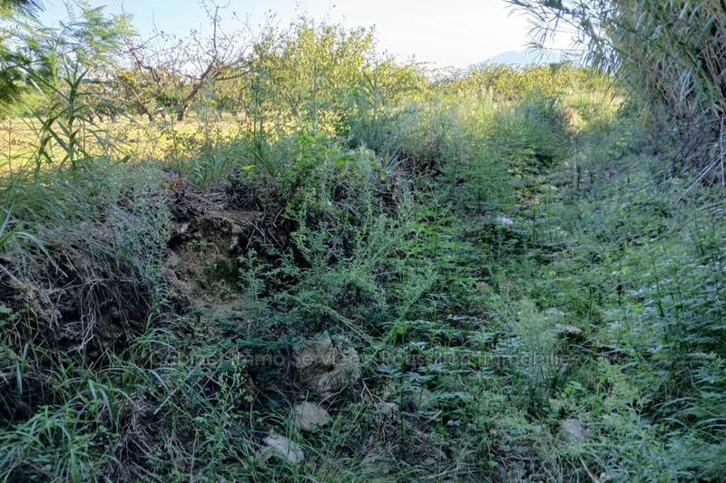 Terrain agricole - 7 121 m²