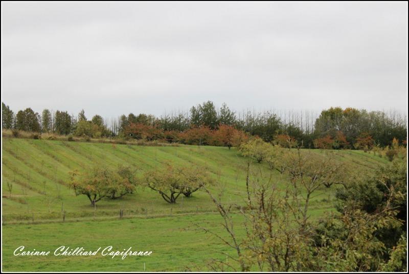 Maison de village - 114 m² - 4 pièces