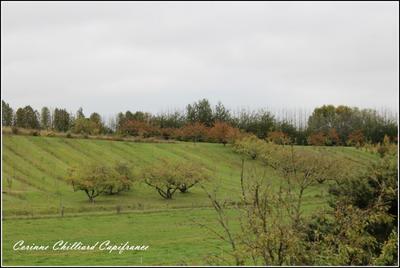 Maison de village - 114 m² - 4 pièces