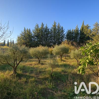 Terrain agricole - 2 430 m²