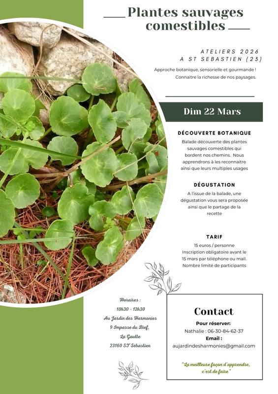 Atelier Plantes sauvages comestibles
