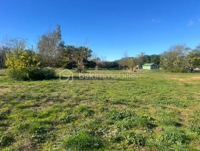 Maison ancienne - 190 m² - 5 pièces