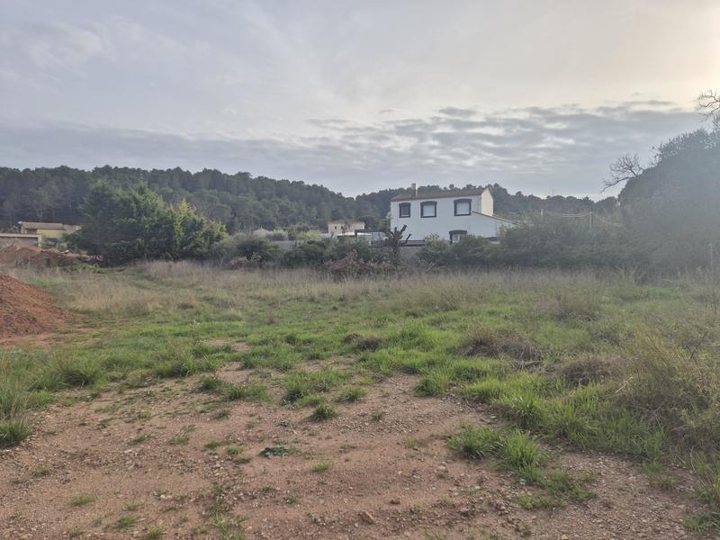 Terrain constructible - 2 000 m²