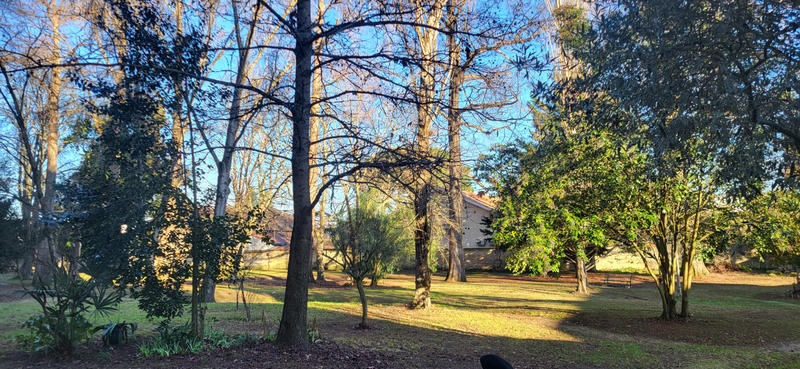 Appartement - 68 m² - 4 pièces