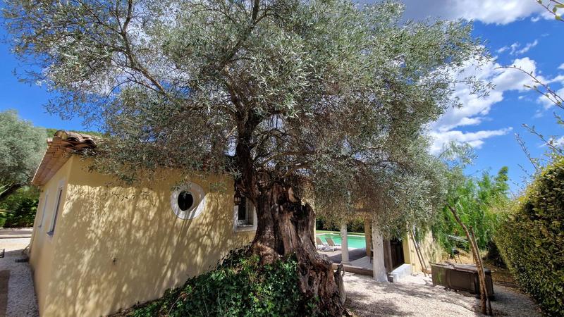 Maison - 221 m² - 9 pièces