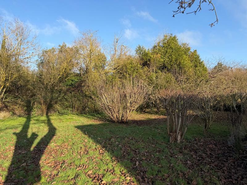 Maison traditionnelle - 117 m² - 5 pièces