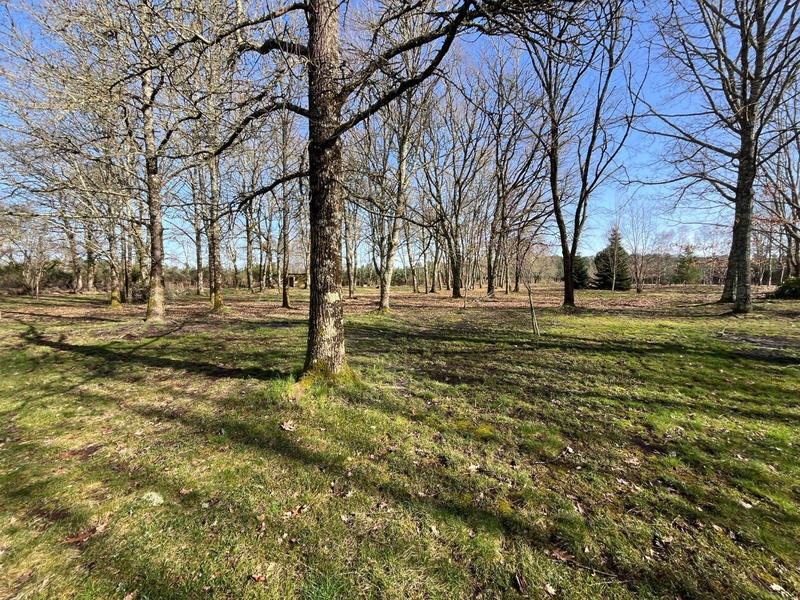 Viager - Maison - 235 m² - 6 pièces