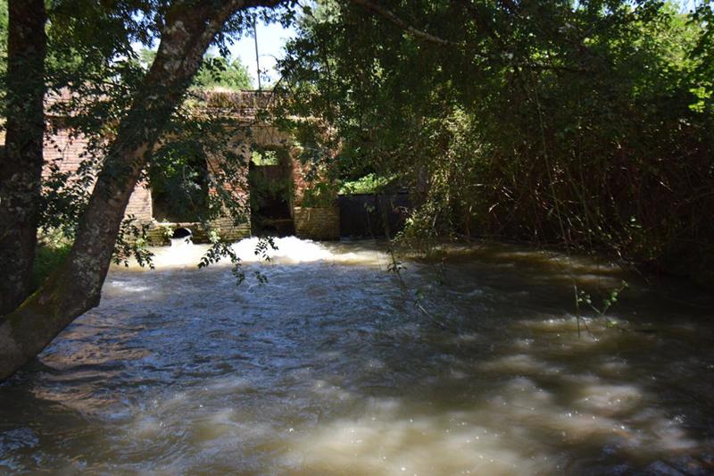 Moulin - 330 m² - 7 pièces