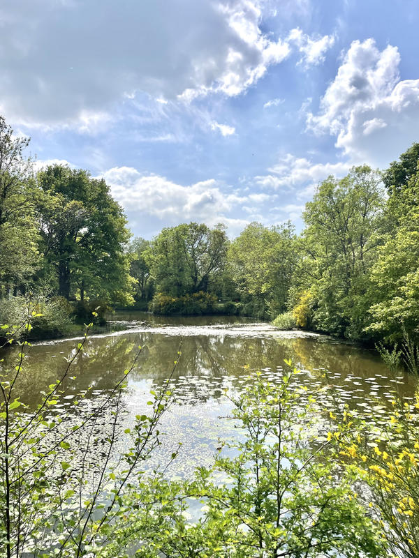 Terrain de loisirs - 8 300 m²