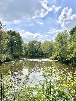 Terrain de loisirs - 8 300 m²