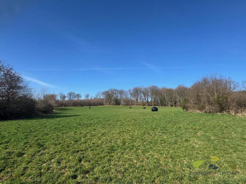 Terrain agricole - 16 270 m²