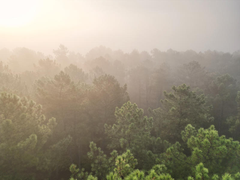 Rencontre et sensibilisation avec la Dfci