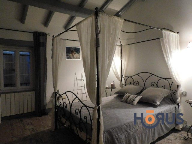 Viager - Maison ancienne - 367 m² - 14 pièces