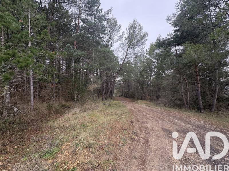 Terrain - 240 000 m²