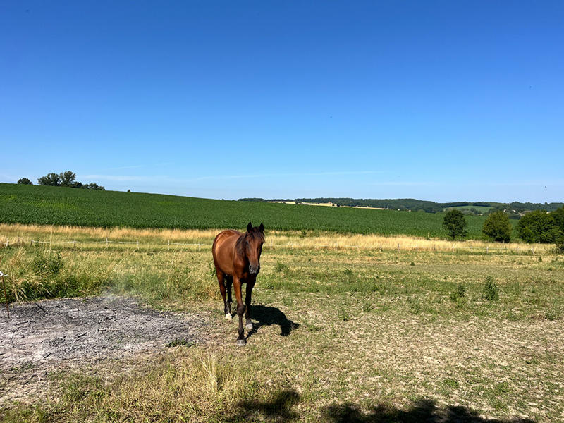 Maison - 165 m² - 6 pièces