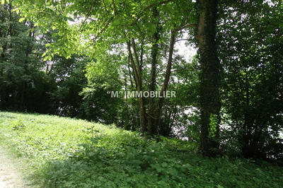 Terrain de loisirs - 2 980 m²