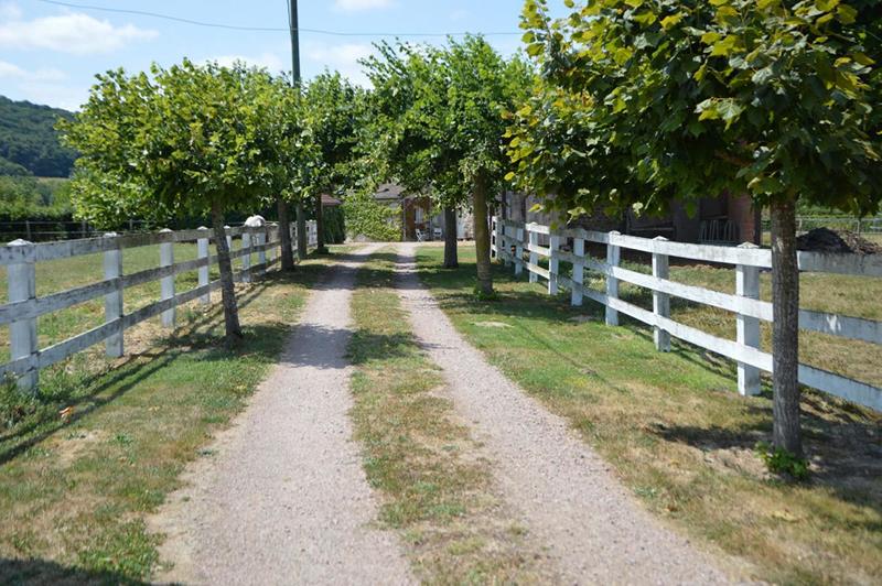 Maison - 260 m² - 11 pièces